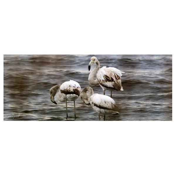 PHOTO84, CLUB, 84 , LUBERON